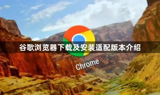 谷歌浏览器下载及安装适配版本介绍1