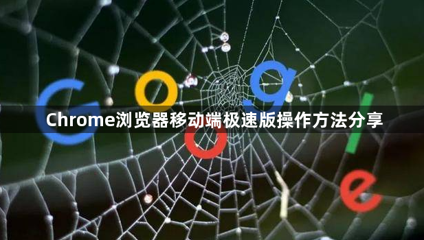 Chrome浏览器移动端极速版操作方法分享1