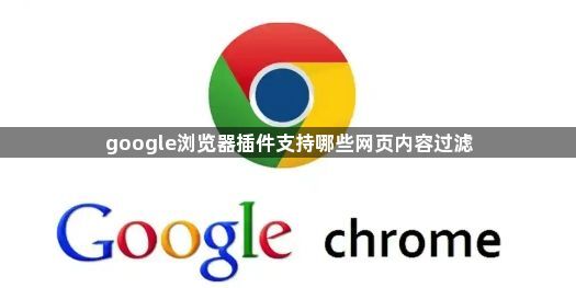 google浏览器插件支持哪些网页内容过滤1