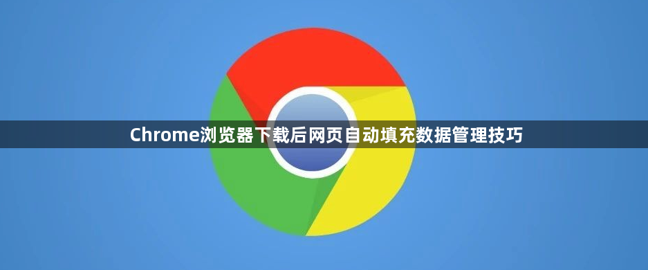Chrome浏览器下载后网页自动填充数据管理技巧1