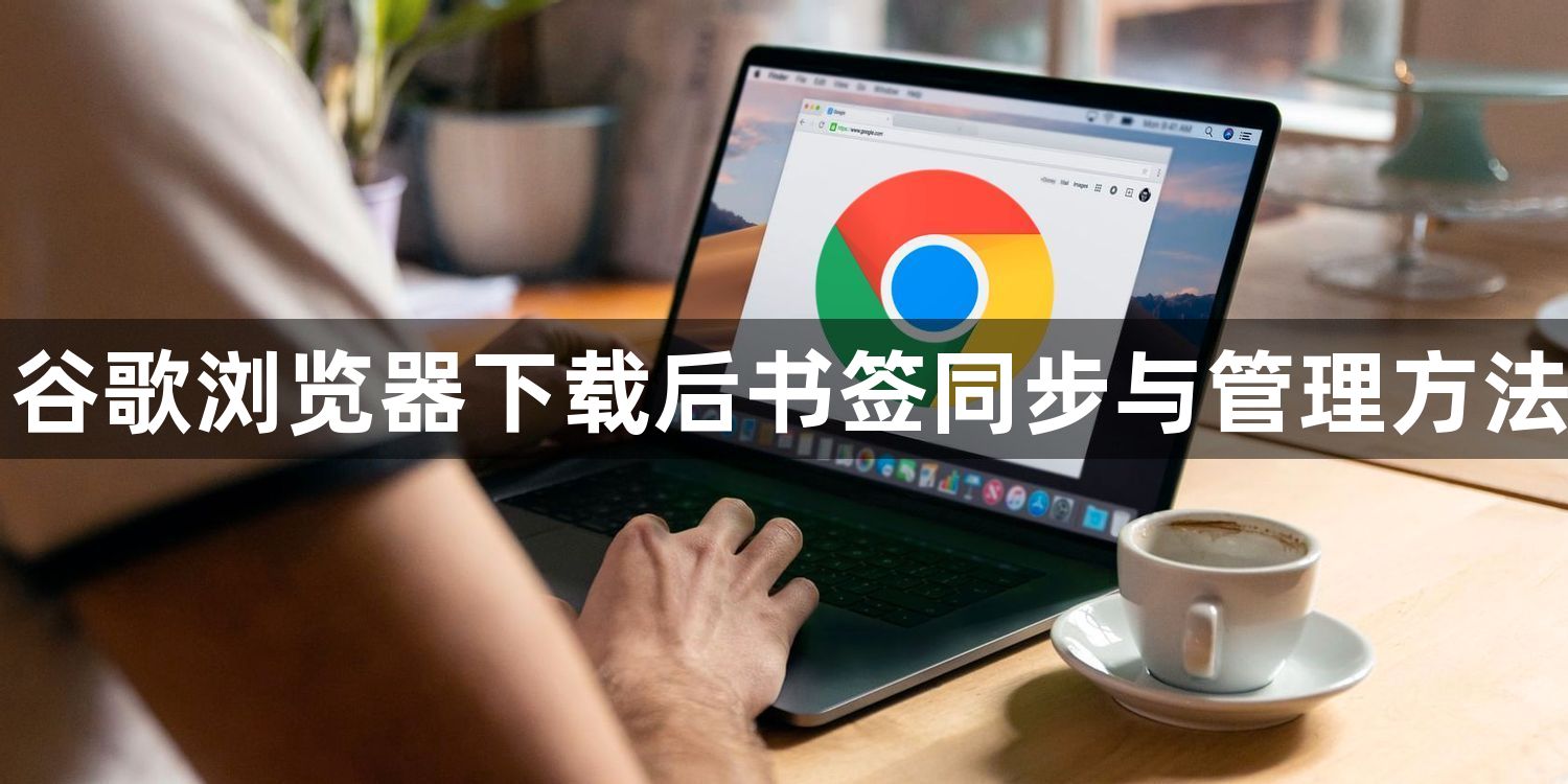 谷歌浏览器下载后书签同步与管理方法1