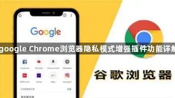 google Chrome浏览器隐私模式增强插件功能详解1