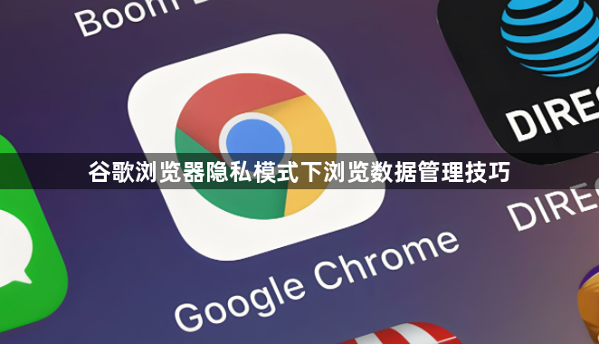 谷歌浏览器隐私模式下浏览数据管理技巧1