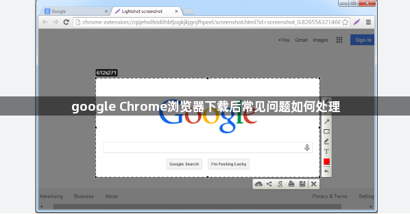 google Chrome浏览器下载后常见问题如何处理1