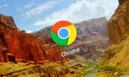 Google Chrome浏览器网页性能提升实操教程