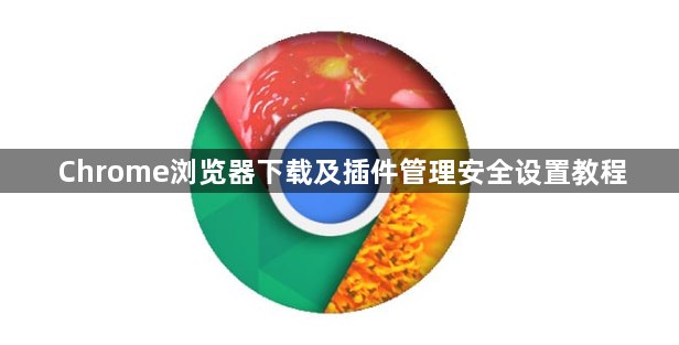 Chrome浏览器下载及插件管理安全设置教程1