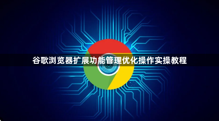谷歌浏览器扩展功能管理优化操作实操教程1