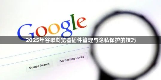 2025年谷歌浏览器插件管理与隐私保护的技巧1