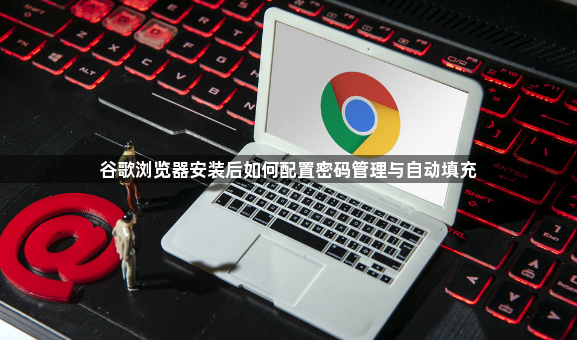 谷歌浏览器安装后如何配置密码管理与自动填充1